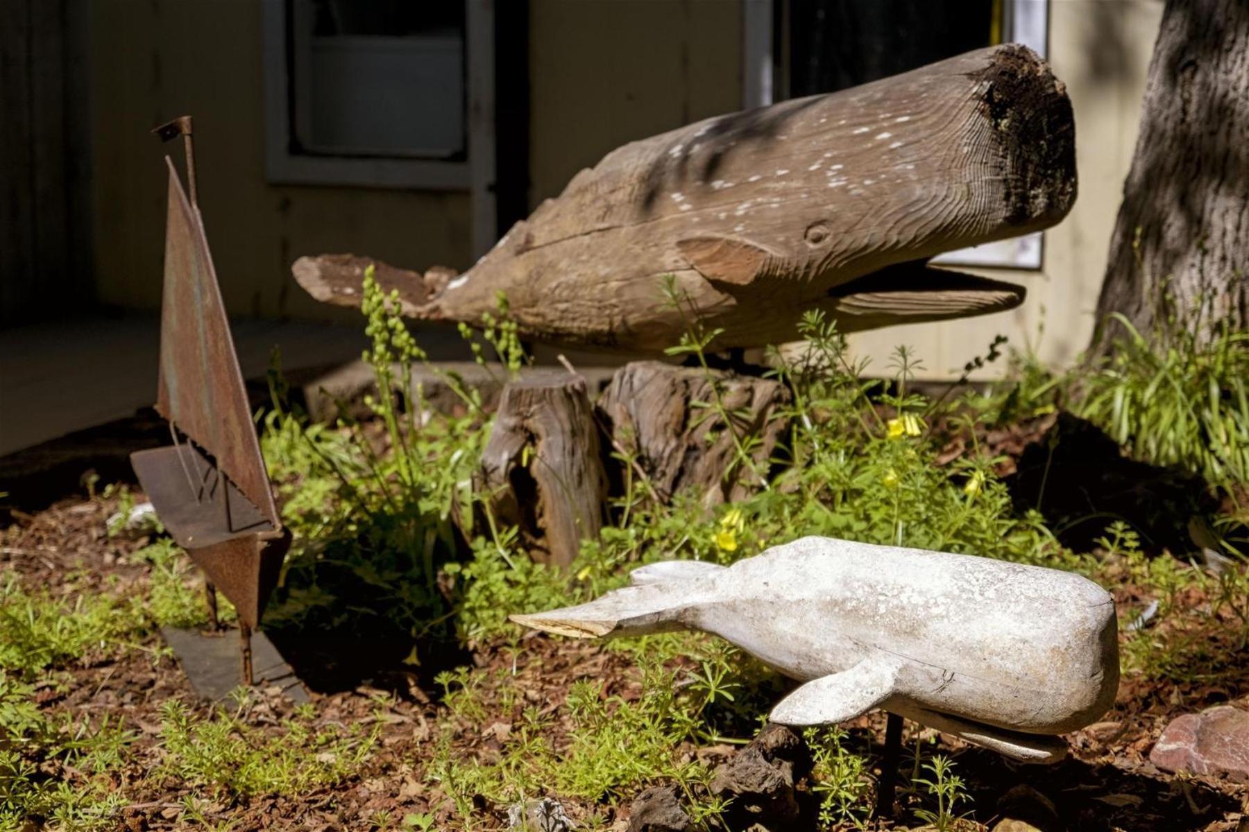 Grey Whale Villa Fort Bragg Exterior photo
